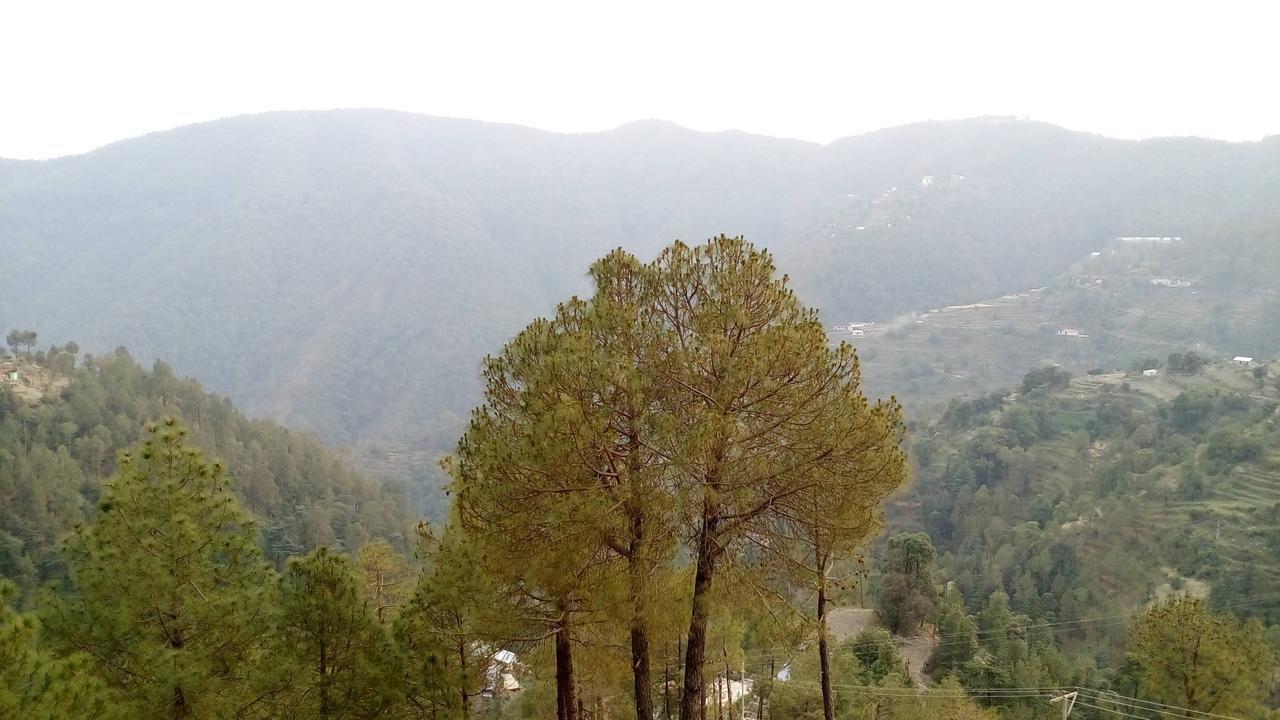 Hotel Emerald Valley Chail Exterior foto